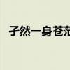 孑然一身苍茫天地兮是什么歌（孑然一身）