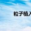 粒子植入治疗肿瘤的利弊（粒子）