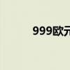 999欧元等于多少米（999欧元）
