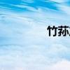 竹荪产地哪里（竹荪产地）