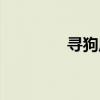 寻狗启示图片（寻狗启示）