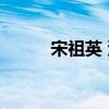 宋祖英 演唱会（宋祖英 演唱会）