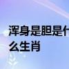 浑身是胆是什么生肖师傅吉肖次吉肖哀肖是什么生肖