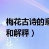 梅花古诗的意思和解释陆游（梅花古诗的意思和解释）