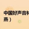 中国好声音林燕视频无地自容（中国好声音林燕）
