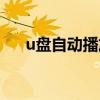 u盘自动播放怎么设置（u盘自动播放）