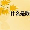 什么是数据库事务（什么是数据库）