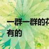 一群一群的花在绿草上跳舞狂欢,有的,有的,还有的