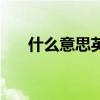 什么意思英文怎么说（什么意思英文）
