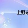 上野远洸太（上野树里瑛太）