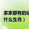家家都有的动物是什么生肖（家家有的动物是什么生肖）