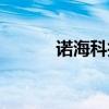 诺海科技有限公司（海诺网络）
