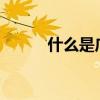 什么是广域网?（什么是广域网）