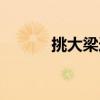 挑大梁造句最短（挑大梁造句）