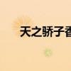 天之骄子香烟有几种（天之骄子香烟）
