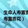 生命人寿富贵花分红型什么时候取钱（生命人寿富贵花）