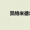 凯特米德尔顿英语（凯特 米德尔顿）