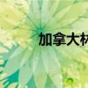 加拿大林俊的图解（加拿大林俊）