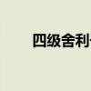 四级舍利子多少钱（舍利子多少钱）