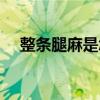 整条腿麻是怎么回事（腿麻是怎么回事）