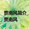 贾南风简介_贾南风与潘安什么关系_晋惠帝与贾南风