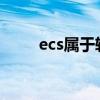 ecs属于软件即服务（软件即服务）