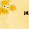 风云劫陆沉（风云劫）