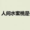 人间水蜜桃是什么水晶（人间水蜜桃是什么）