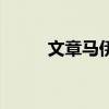 文章马伊琍差几岁（文章马伊俐）