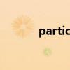 particular插件注册码 怎么填