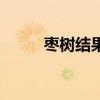 枣树结果要几年（枣树几年结果）