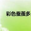 彩色蚕茧多少钱一斤（蚕茧多少钱一斤）