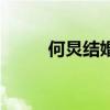 何炅结婚谢娜会去吗（何炅结婚）