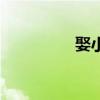 娶小姐回家（小姐娶妻）