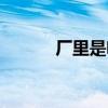 厂里是啥意思（厂厂什么意思）