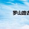 罗山路去迪士尼（罗湖去迪士尼）