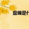 盘缠是什么意思（盘是什么意思）
