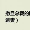撒旦总裁的囚宠新娘（傀儡新娘 撒旦公爵的逃妻）