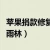 苹果捐款修复雨林苹果发布会（苹果捐款修复雨林）