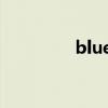 blueant耳机（blueant）