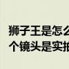 狮子王是怎么拍的是真是什么（狮子王只有一个镜头是实拍）