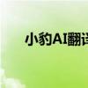 小豹AI翻译棒没用了（小豹ai翻译棒）