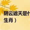 阴云遮天是什么生肖(天黑乌云遮天蔽是什么生肖) 阴云遮天是什么生肖(天黑乌云遮天蔽是什么生肖)
