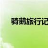 骑鹅旅行记梗概600字六年级下册2022