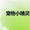 宠物小精灵柳生刚(宠物小精灵之柳阳) 宠物小精灵柳生刚(宠物小精灵之柳阳)