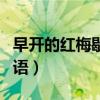 早开的红梅歇后语补充完整（早开的红梅歇后语）