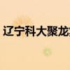 辽宁科大聚龙集团招聘（辽宁科大聚龙集团）