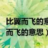 比翼而飞的意思用具体的情景表现出来（比翼而飞的意思）