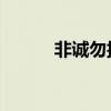 非诚勿扰李劲（非诚勿扰 李劲）