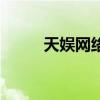 天娱网络科技有限公司（天娱网）